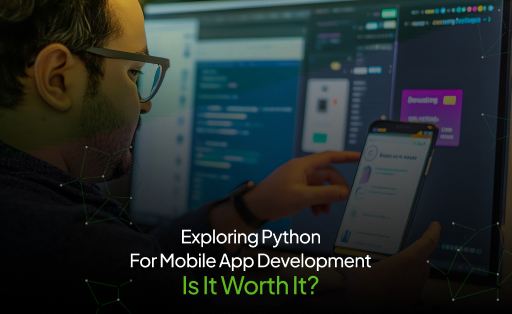 Python App Development pic