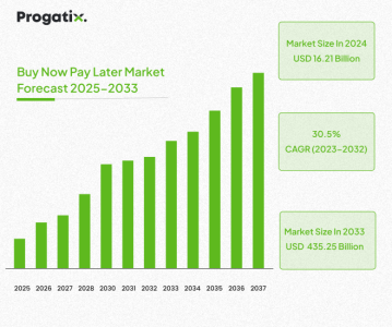 Pay Later Market